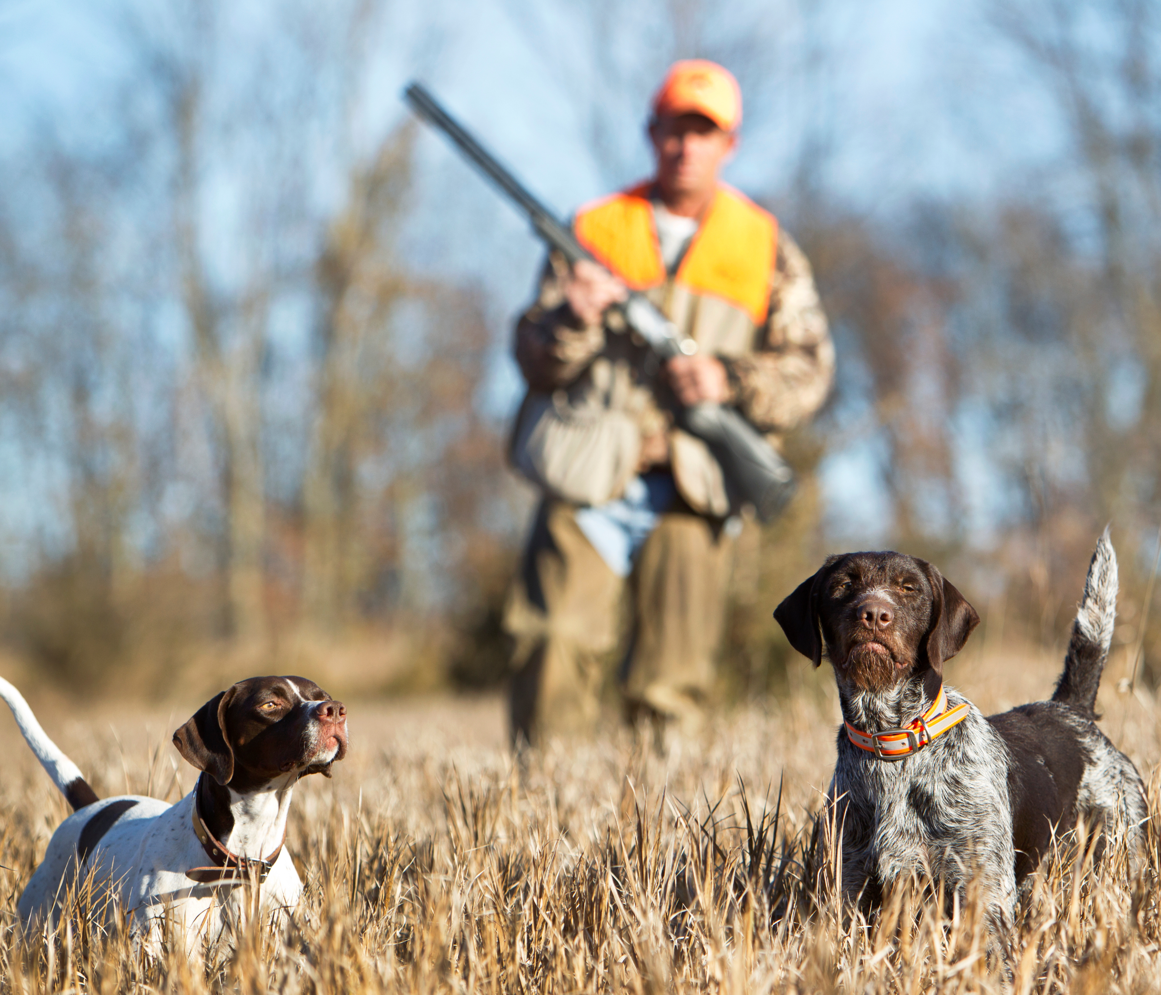 Hunting in Idaho